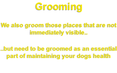 Grooming   We also groom those places that are not immediately visible..   ..but need to be groomed as an essential part of maintaining your dogs health