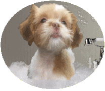 Grooming Articles (Bath), JLA-K9 Dog Grooming